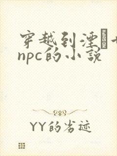 穿越到湮婸世界npc的小说