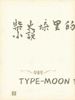 柴火垛里的疯狂小说