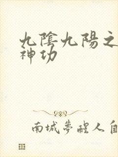 九阴九阳之阴阳神功
