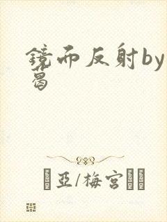 镜面反射by九葛