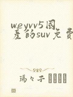 weyvv5国产的suv免费