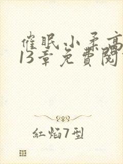 催眠小柔高达第13章免费阅读