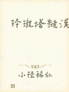 玲珑塔糙汉租客