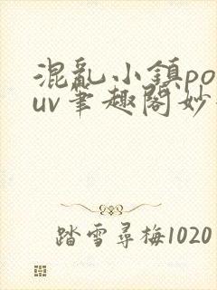 混乱小镇popuv笔趣阁妙妙