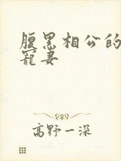 腹黑相公的庶女宠妻