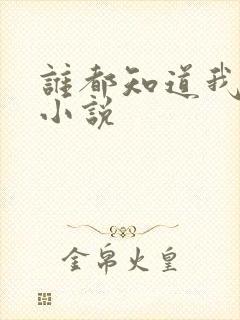 谁都知道我爱你小说