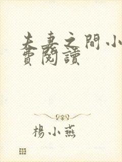 夫妻之间小说免费阅读