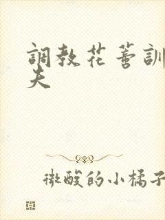 调教花蒂训诫从夫