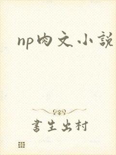np肉文小说