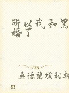 所以我和黑粉结婚了