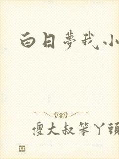 白日梦我小说