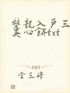 双龙入户三人行夹心饼txt