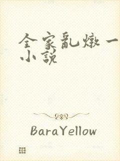 全家乱炖一锅烩小说