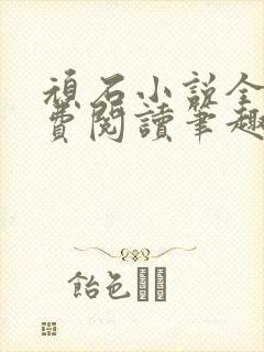 顽石小说全文免费阅读笔趣阁