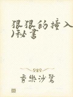 狠狠的撞入(h)秘书