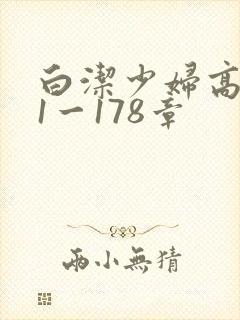 白洁少妇高义第1一178章