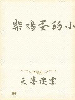 柴鸡蛋的小说