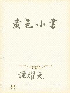 黄色小书