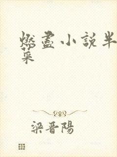 燃尽小说半截白菜