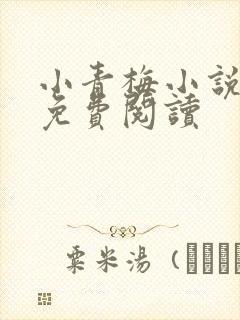 小青梅小说全文免费阅读