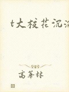 t大校花沉沦
