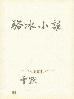 骆冰小说