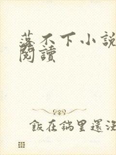 落不下小说免费阅读