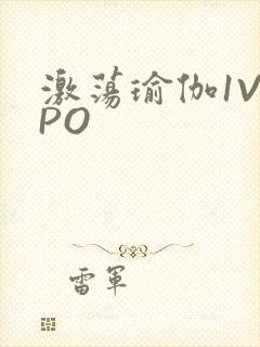 激荡瑜伽1V2PO