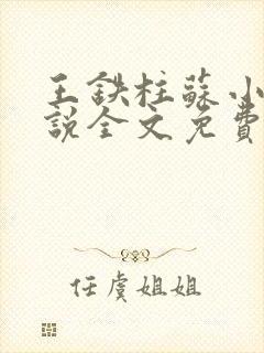 王铁柱苏小汐小说全文免费阅读最新章节