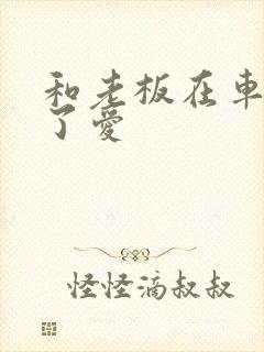 和老板在车里做了爱