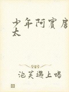 少年阿宾房东太太