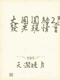 大团圆结2闪闪发光亲情会