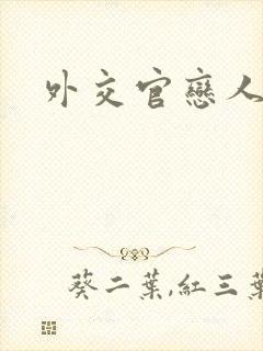 外交官恋人小说