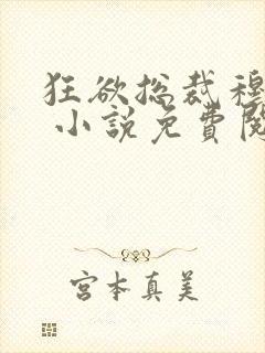 狂欲总裁穆非雪 小说免费阅读