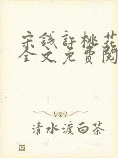 宋钱许桃花小说全文免费阅读