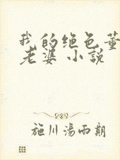 我的绝色董事长老婆 小说