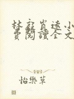 林毅肖远小说免费阅读全文最新章节