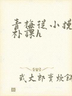 青梅从小摸到大补课h