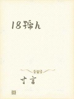 18号h