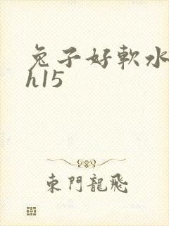 兔子好软水好多h15