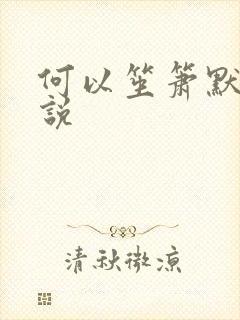 何以笙箫默 小说