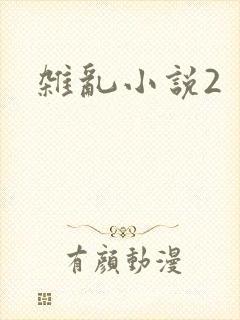 杂乱小说2