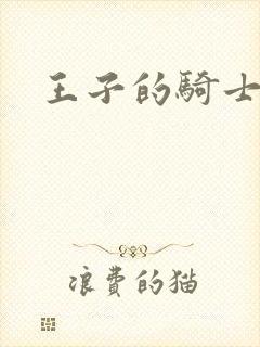 王子的骑士小说