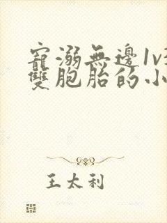 宠溺无边1v3双胞胎的小说