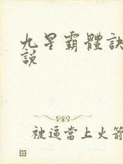 九星霸体诀 小说