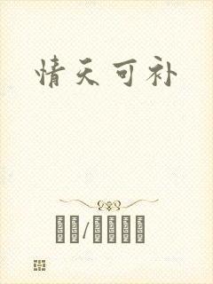情天可补