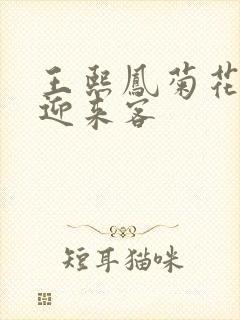 王熙凤菊花门初迎来客