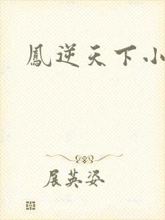 凤逆天下小说