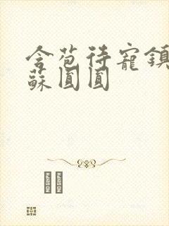 含苞待宠镇国公苏圆圆