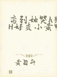 脔到她哭h粗话H好爽小黄鸭视频